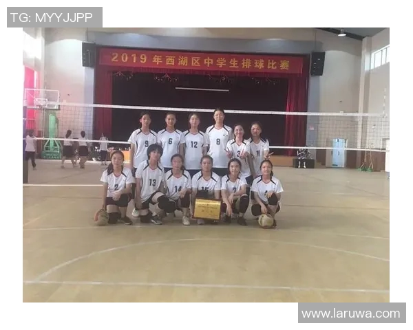 深入分析杭州排球队边路渗透战术的特点与应用策略 深入分析杭州排球队边路渗透战术的特点与应用策略