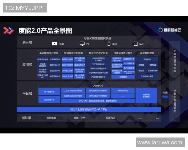 上海排球队转型之路的挑战与机遇全景分析