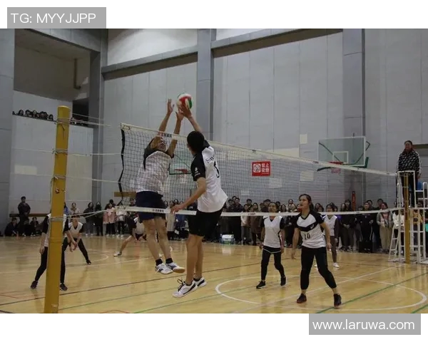 南京排球队的转型之路:从传统到现代的全面革新探索