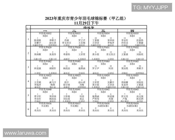 成都与重庆羽毛球队赛后分析个人能力对比及表现总结