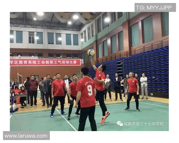 成都排球队在全国排球团队协作排行榜中荣获第八名的佳绩