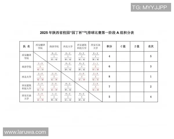 西安排球队在排球耐力排行榜中荣获第三名的辉煌成就分析