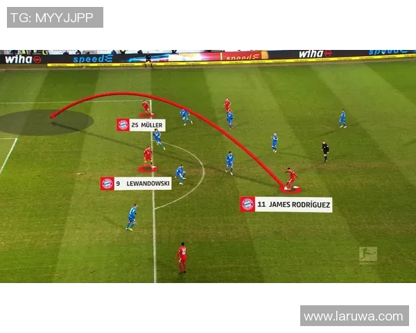 成都排球队的团队协作与战术配合研究及其对比赛成绩的影响分析