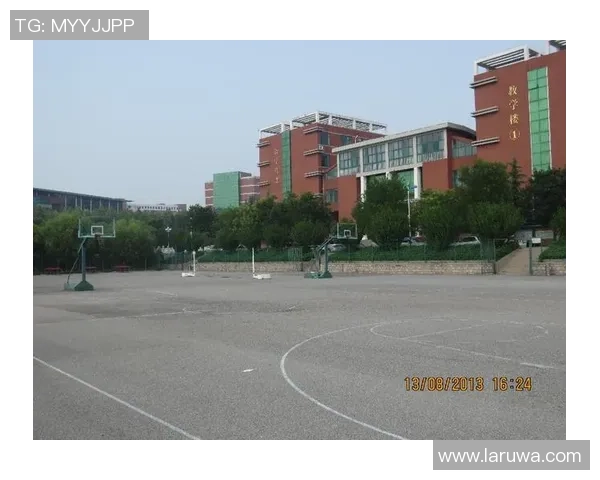 淄博专业足球场建设进展与未来发展规划探讨